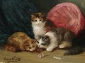 playing kittens Alfred Brunel de Neuville